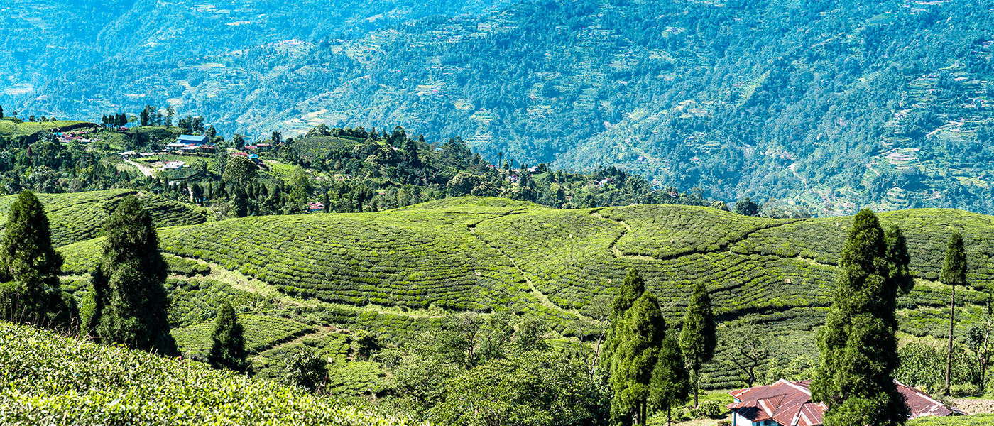 4 Days in Darjeeling