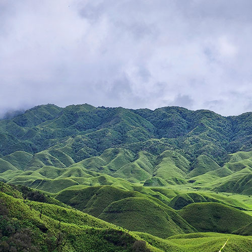 Northeast Cultural Trails Tour