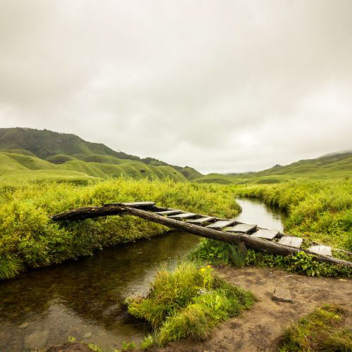 Nagaland Heritage Tour