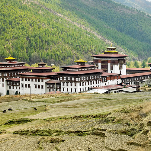 Land of Happiness Tour